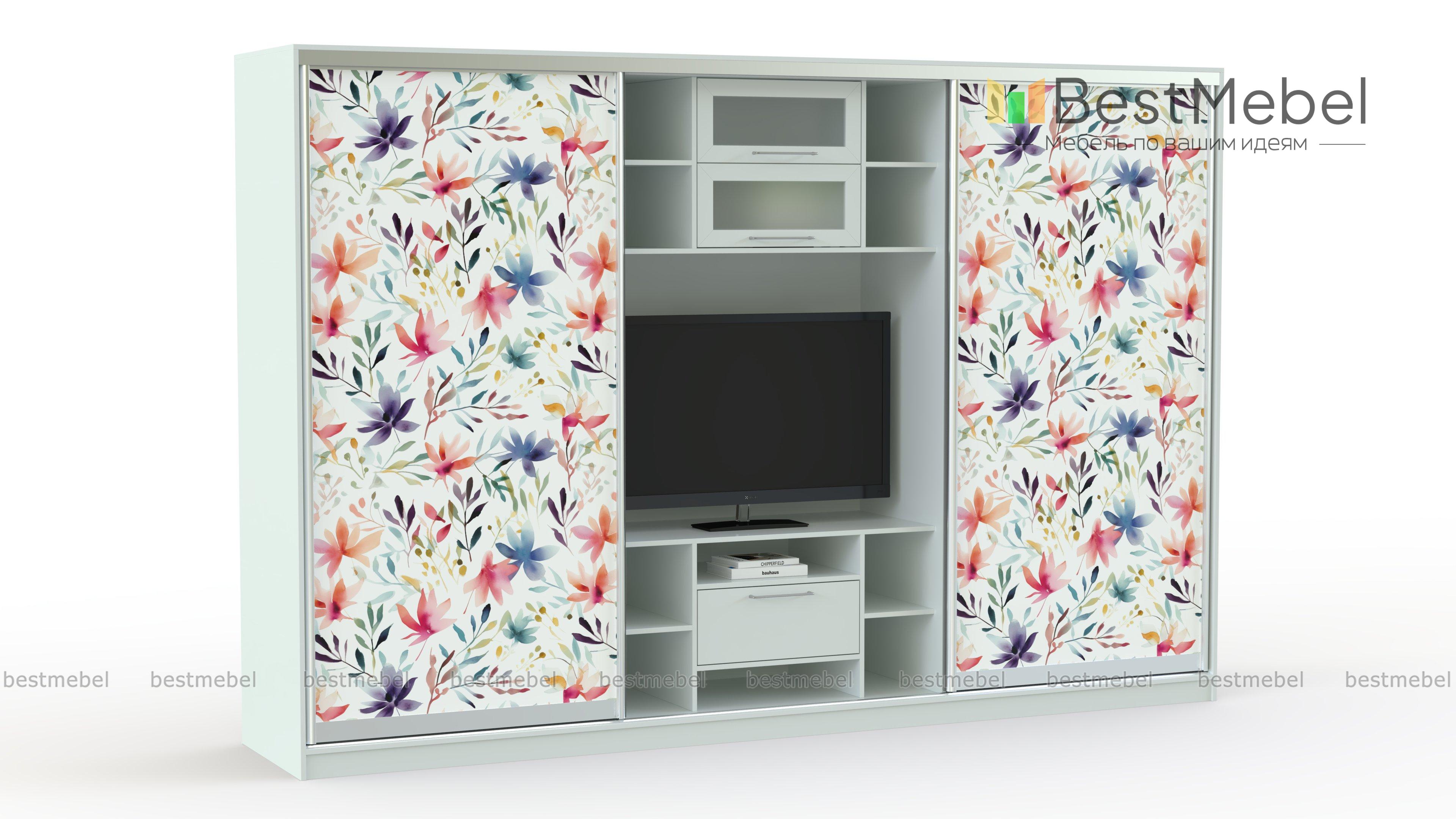 Шкаф-купе двойной Цветы 20 BMS - Фото