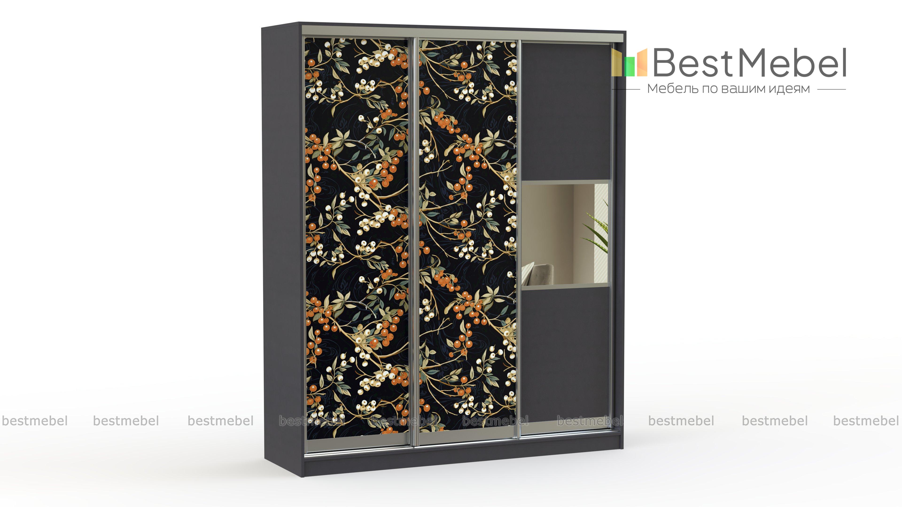 Шкаф-купе Григ 23 BMS - Фото