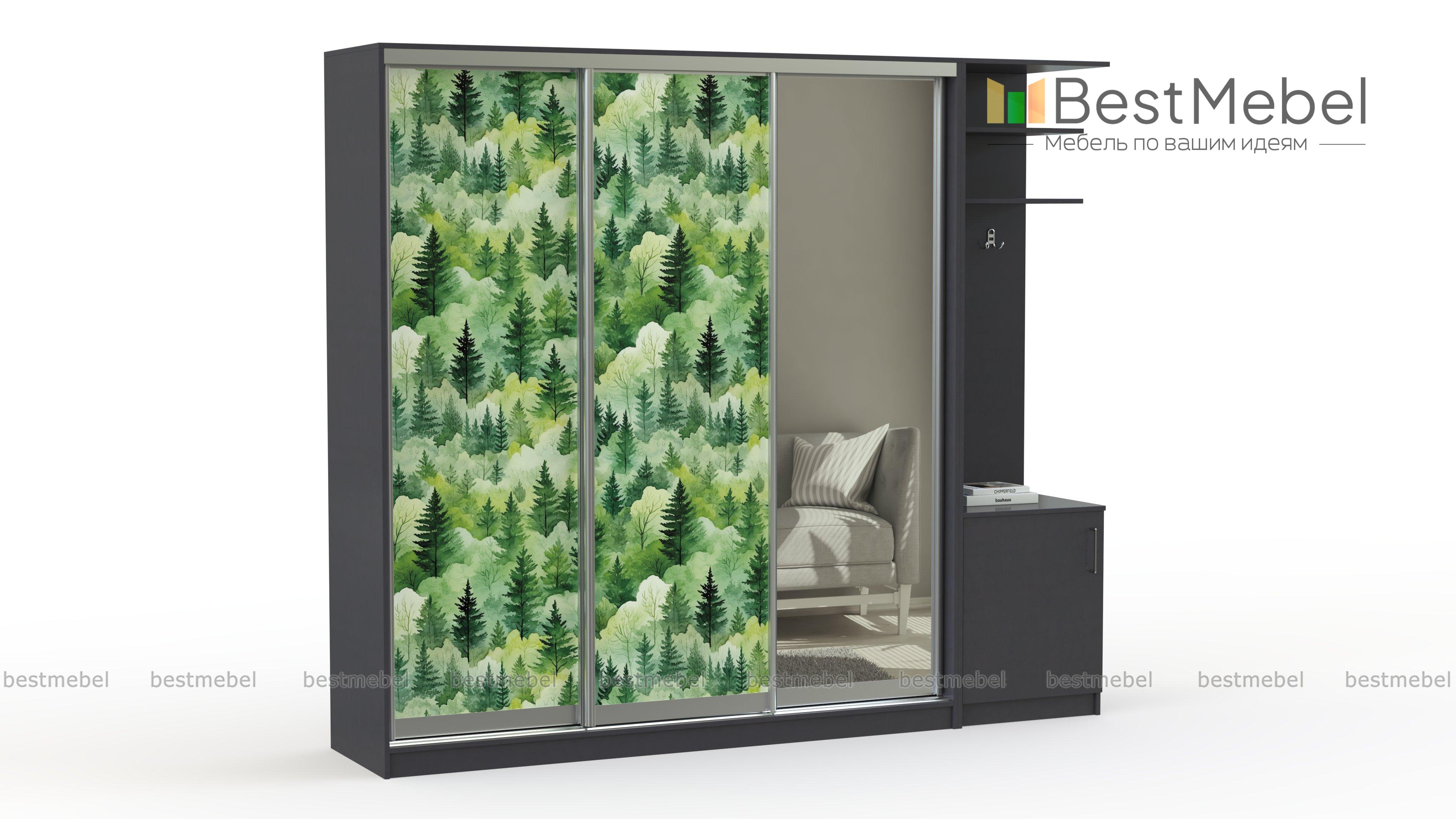 Шкаф-купе Зима 7 BMS - Фото