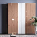 Распашной шкаф Агни М2 BMS - Фото 4