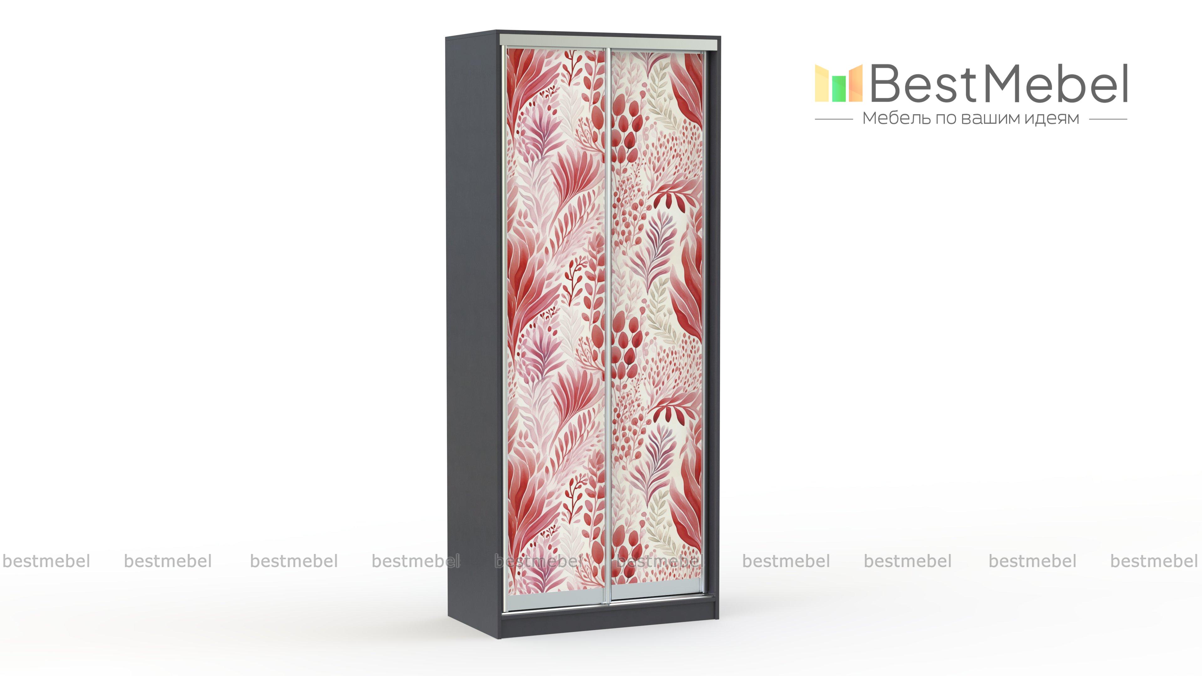 Шкаф-купе Форт 3 BMS - Фото