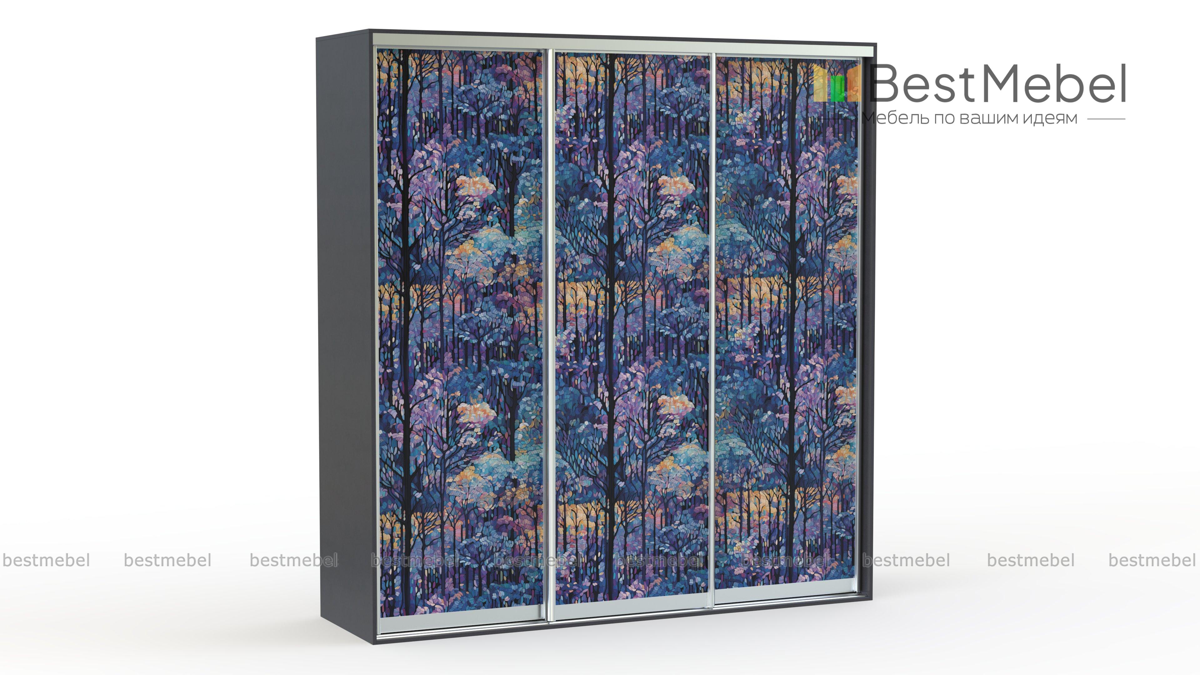 Шкаф-купе Природа 04031 BMS - Фото