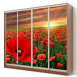 Шкаф-купе Мак BMS - Фото 12