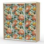 Шкаф-купе Фрукты 17025 BMS - Фото 7