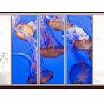 Шкаф-купе Медуза 6 BMS - Фото 9