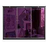 Шкаф-купе 4098 BMS - Фото 4