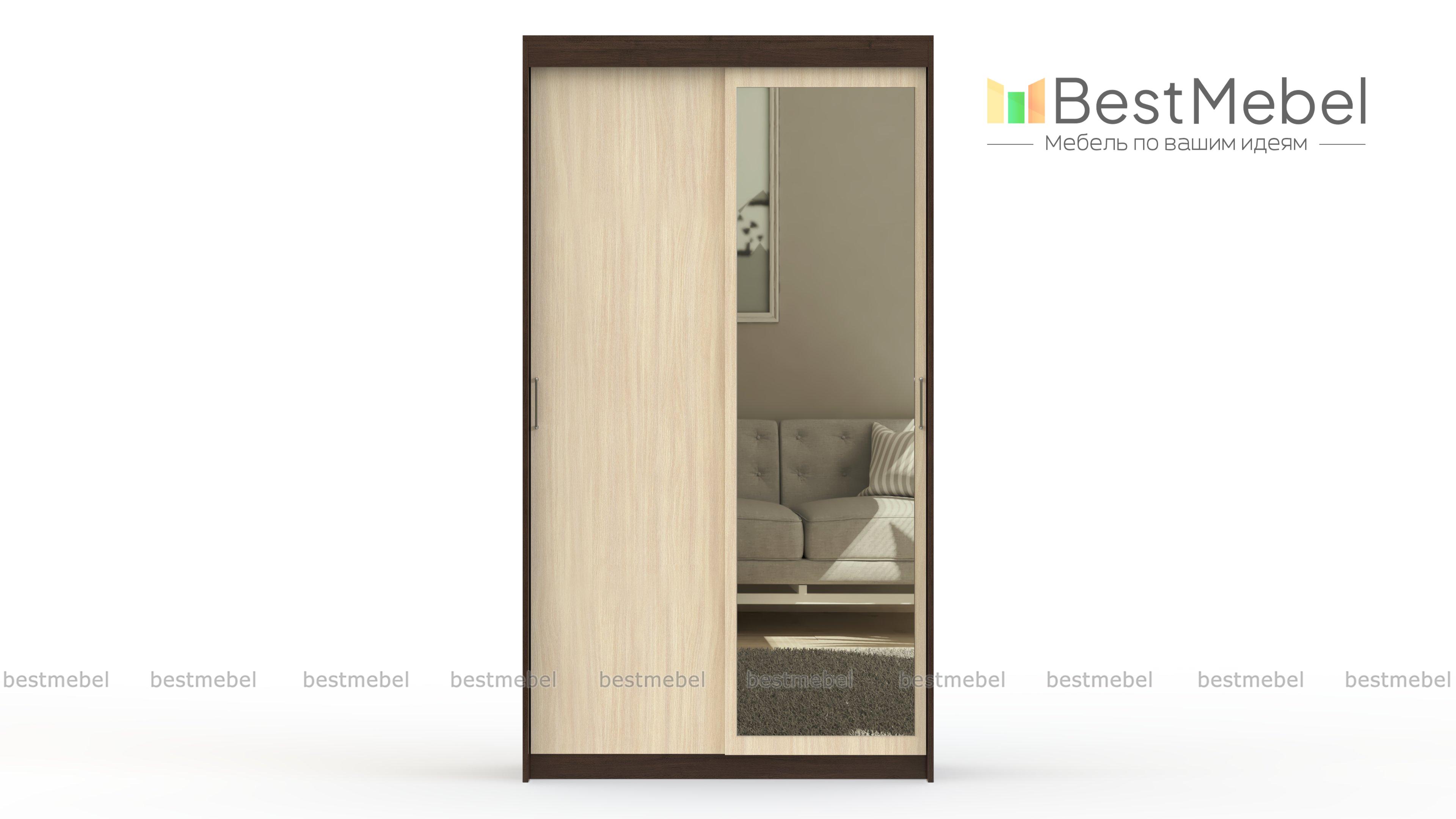 Шкаф-купе Эконом 2.10 BMS - Фото