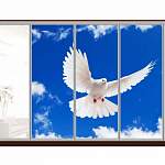 Шкаф-купе Небо 193 BMS - Фото 9