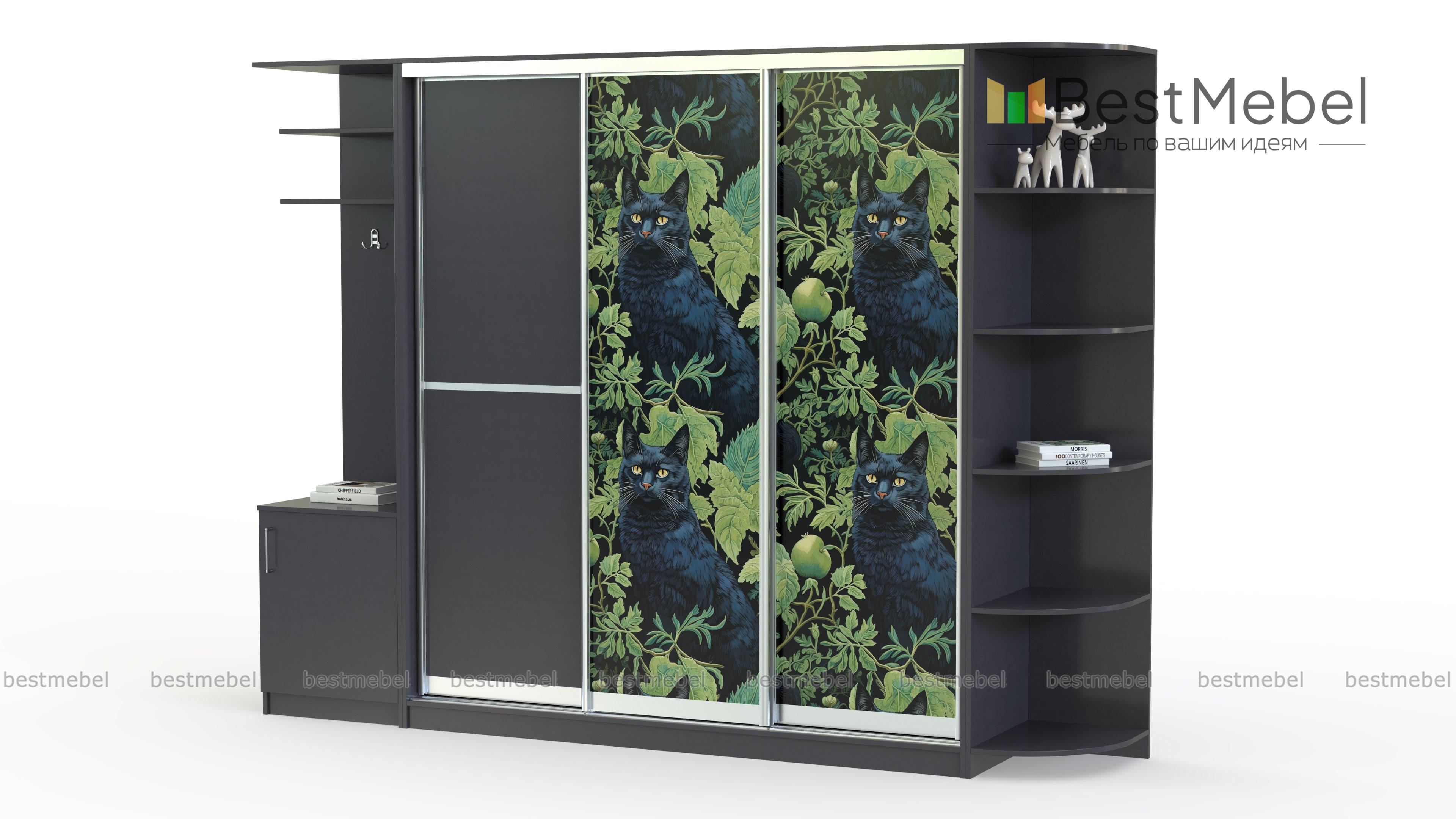 Шкаф-купе Лаванда 9 BMS - Фото