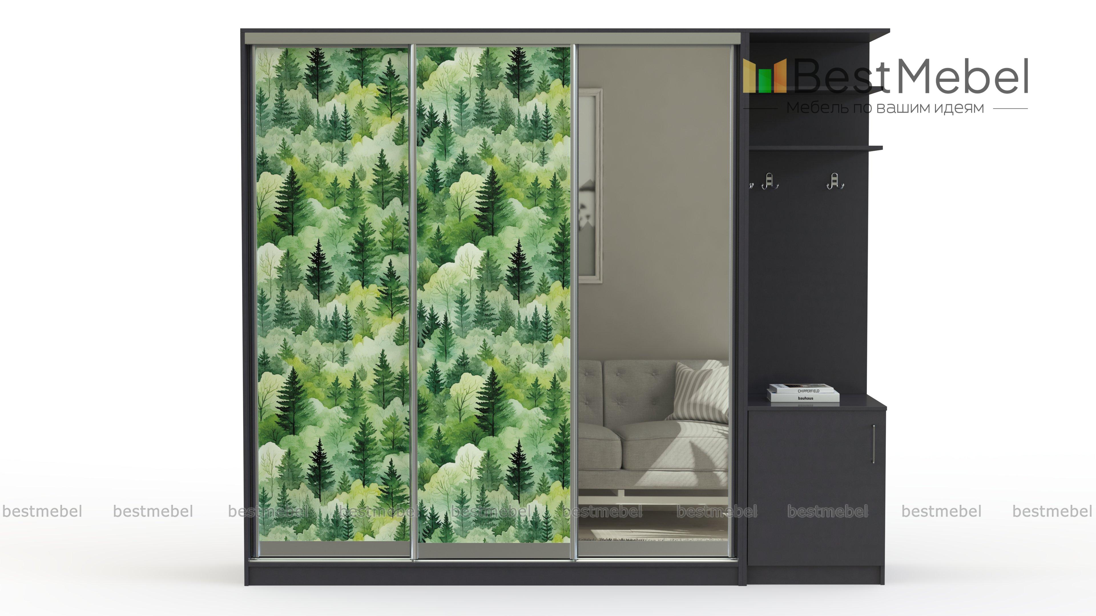 Шкаф-купе Зима 7 BMS - Фото