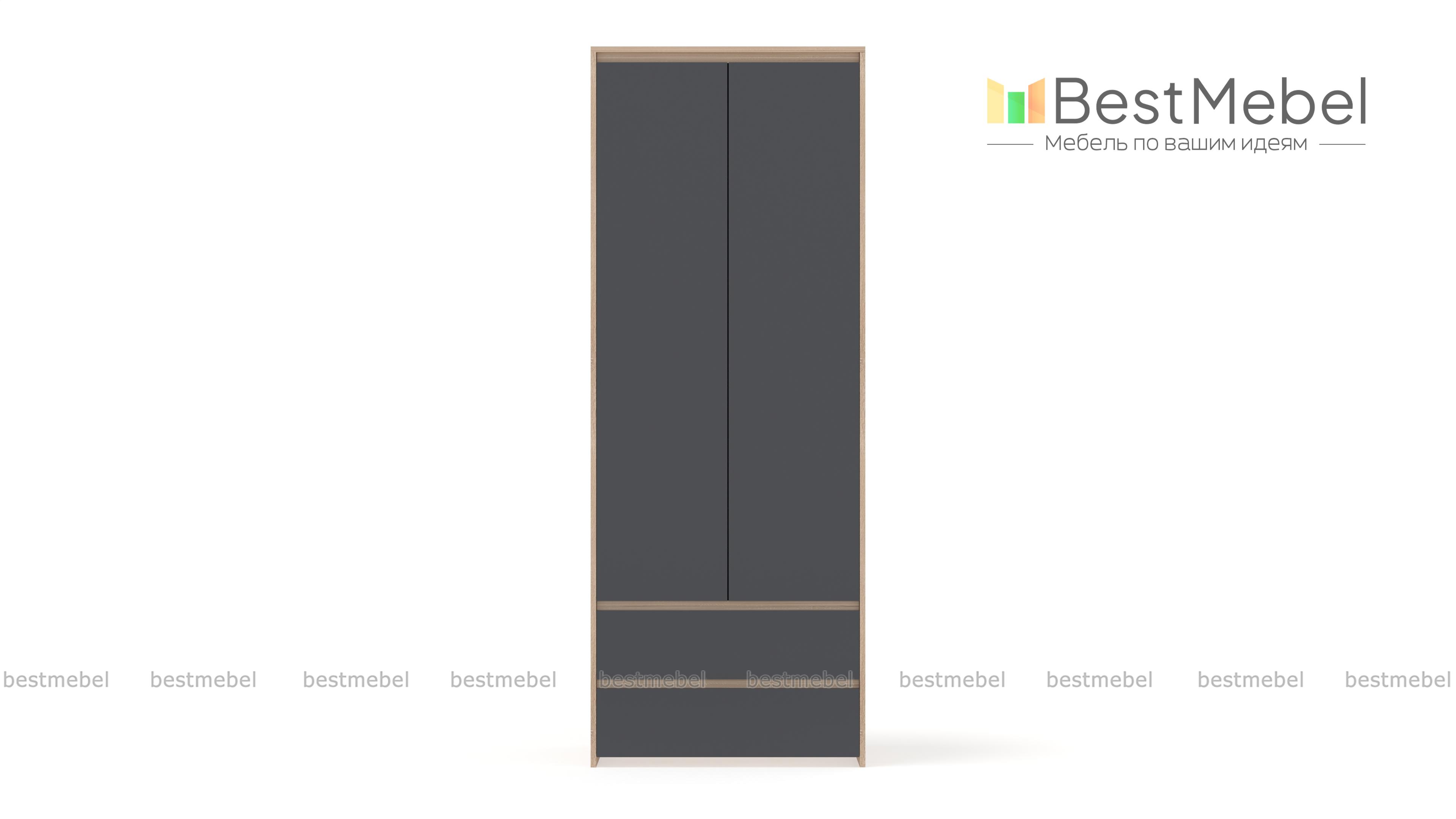 Шкаф Reg 2D2S BMS - Фото