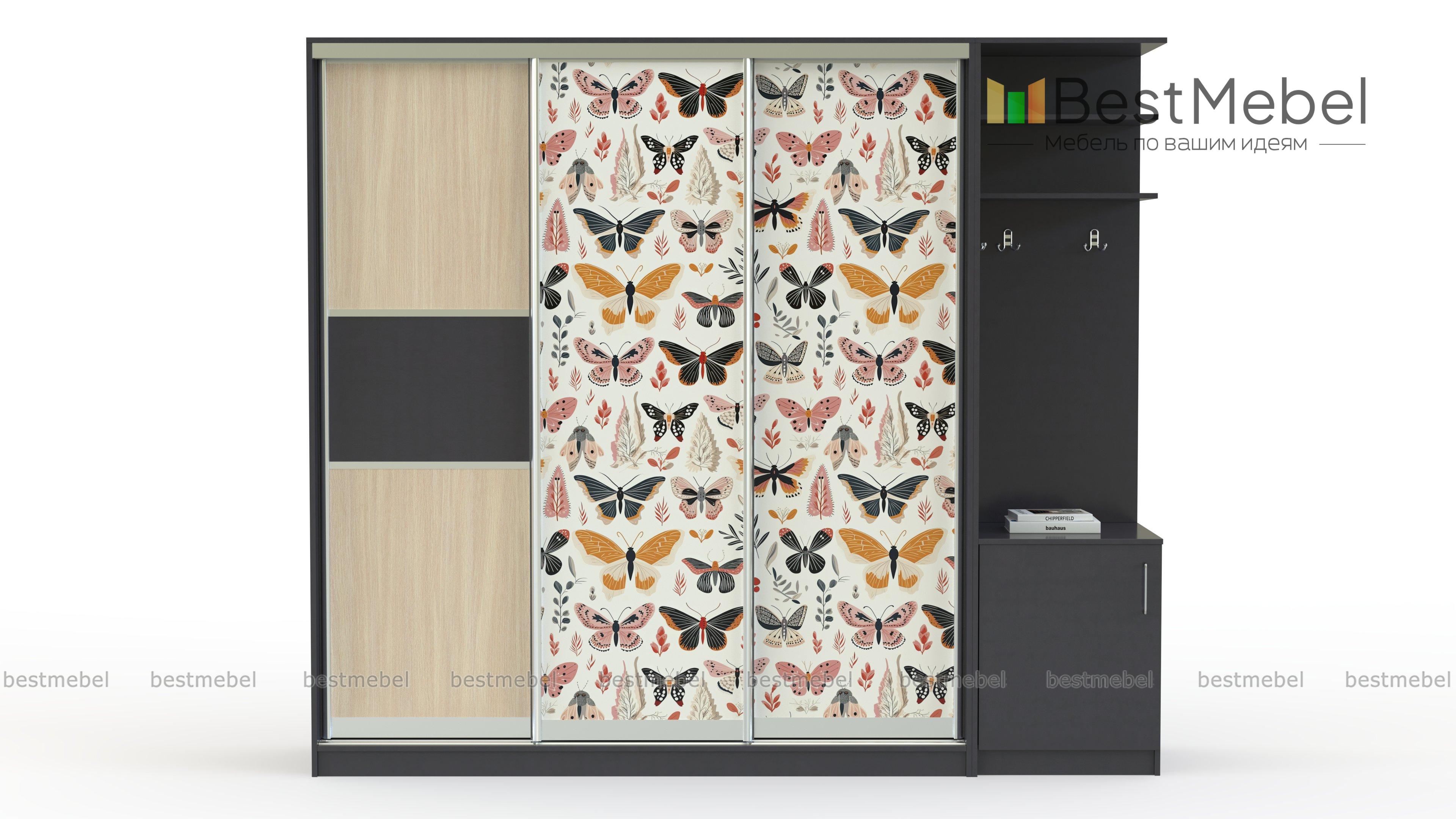 Шкаф-купе Бабочки 30 BMS - Фото