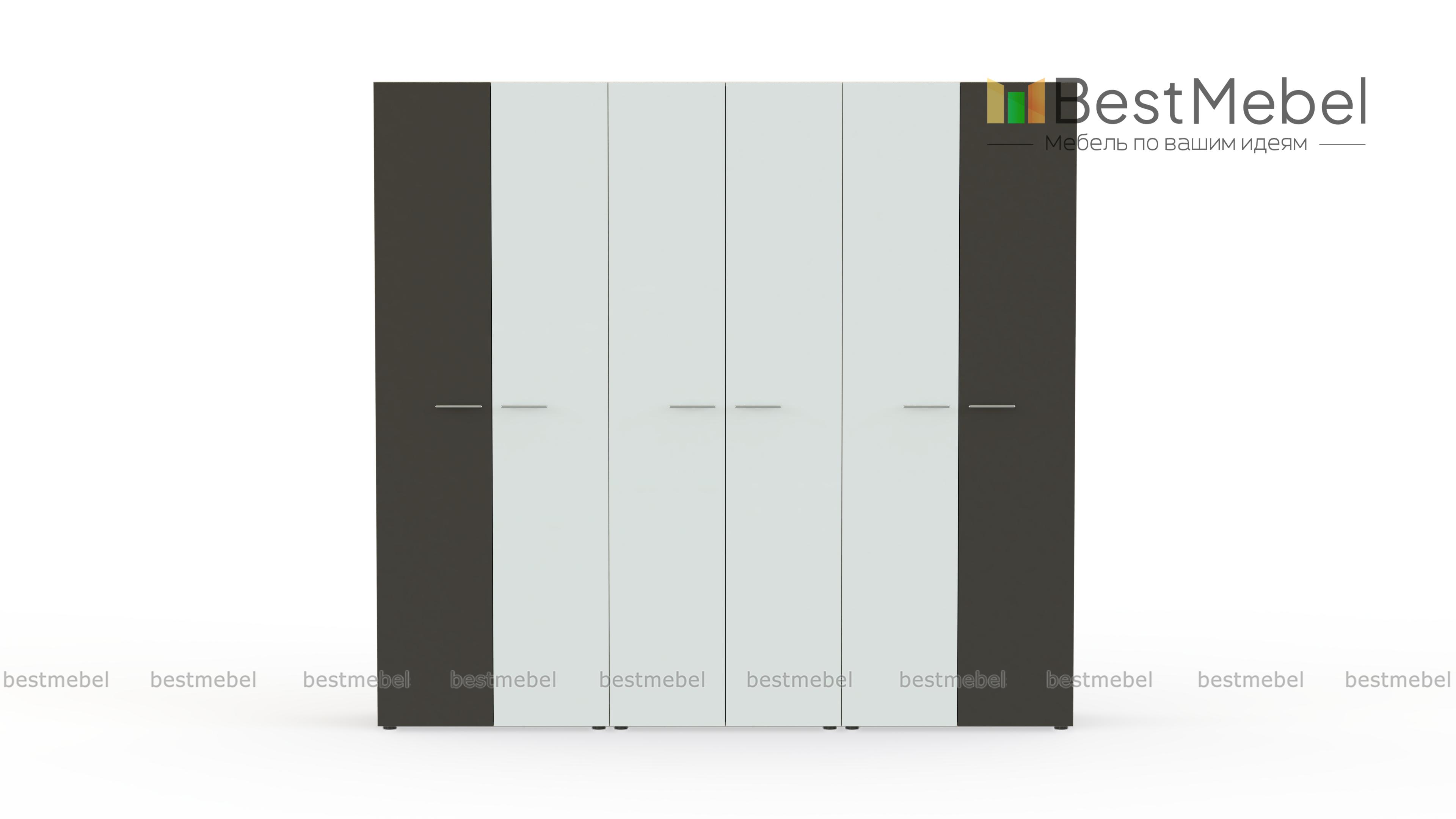 Шкаф распашной Класс 6 BMS - Фото