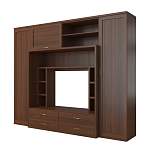 Гостиная Dana А2103 BMS - Фото 1