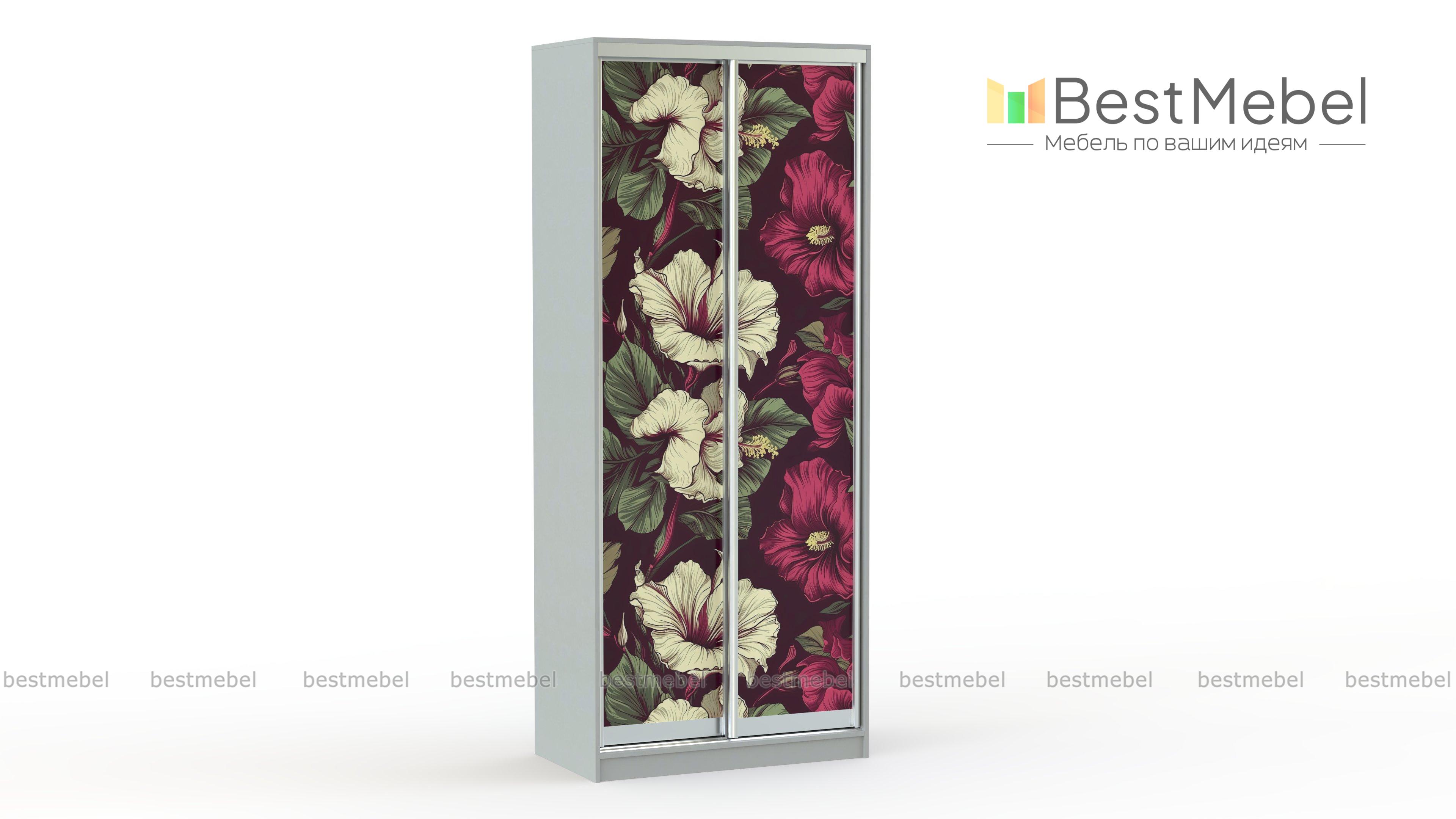 Шкаф-купе Цветы 25 BMS - Фото