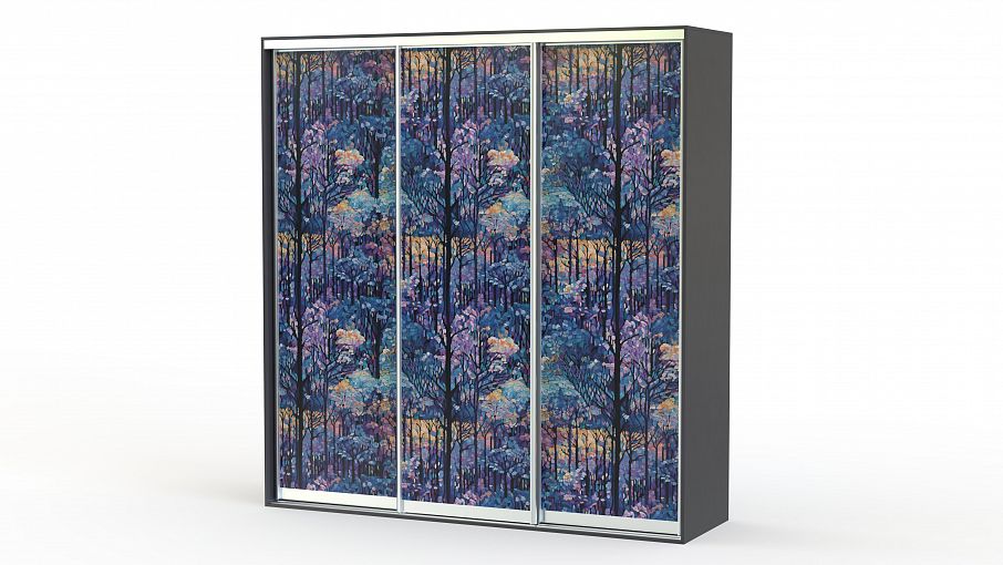 Шкаф-купе Природа 04031 BMS - Фото