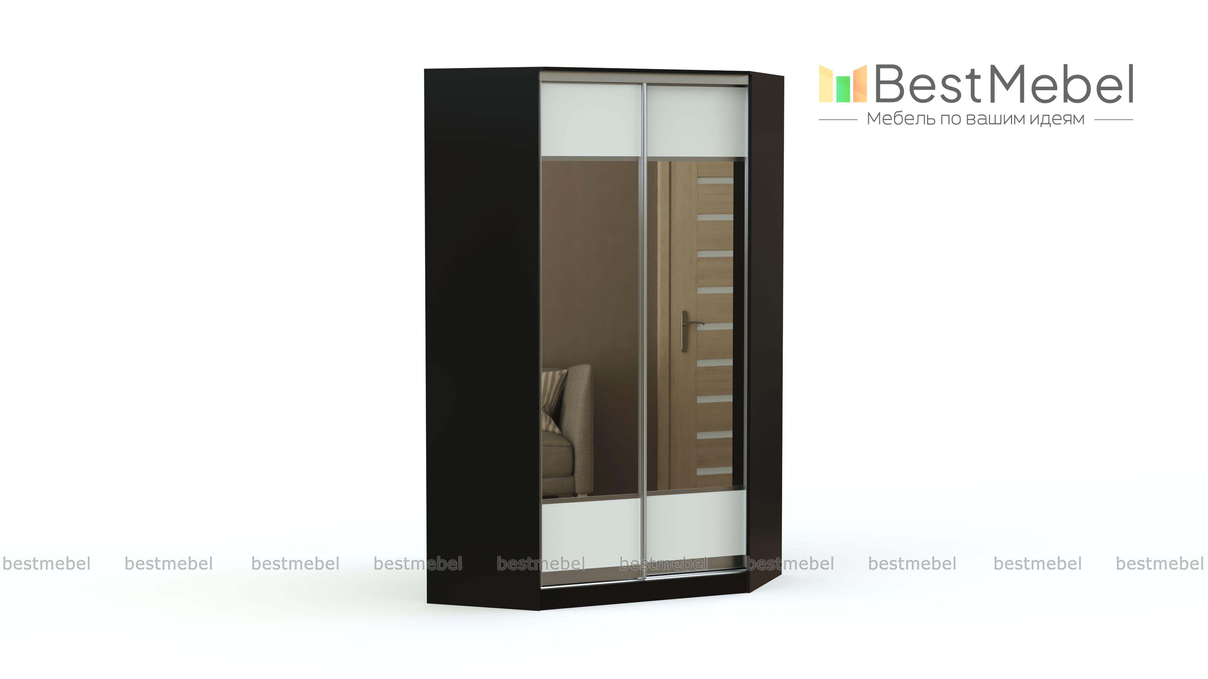 Шкаф-купе Гоктар 172 BMS - Фото