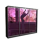 Шкаф-купе 4098 BMS - Фото 3