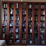 Библиотека Гаурон-К №4.1 BMS - Фото от клиента