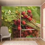 Шкаф-купе 31459 BMS - Фото 1