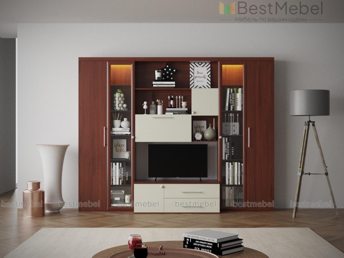 Стенка Анатолий BMS - Фото