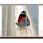 Шкаф-купе Бабочка 16 BMS - Фото 9