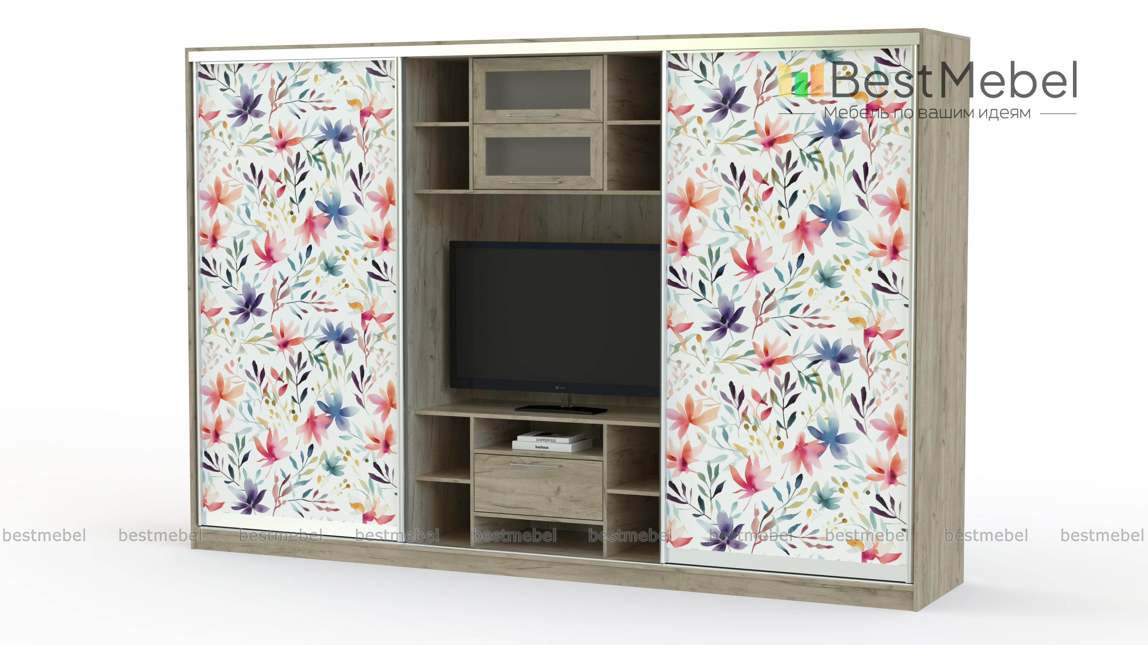 Шкаф-купе двойной Цветы 20 BMS - Фото