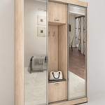 Шкаф-купе МТ 2.2.1 BMS - Фото 3