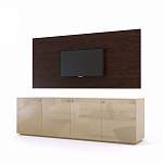 Панель для ТВ Кассиопея 4 BMS - Фото 1