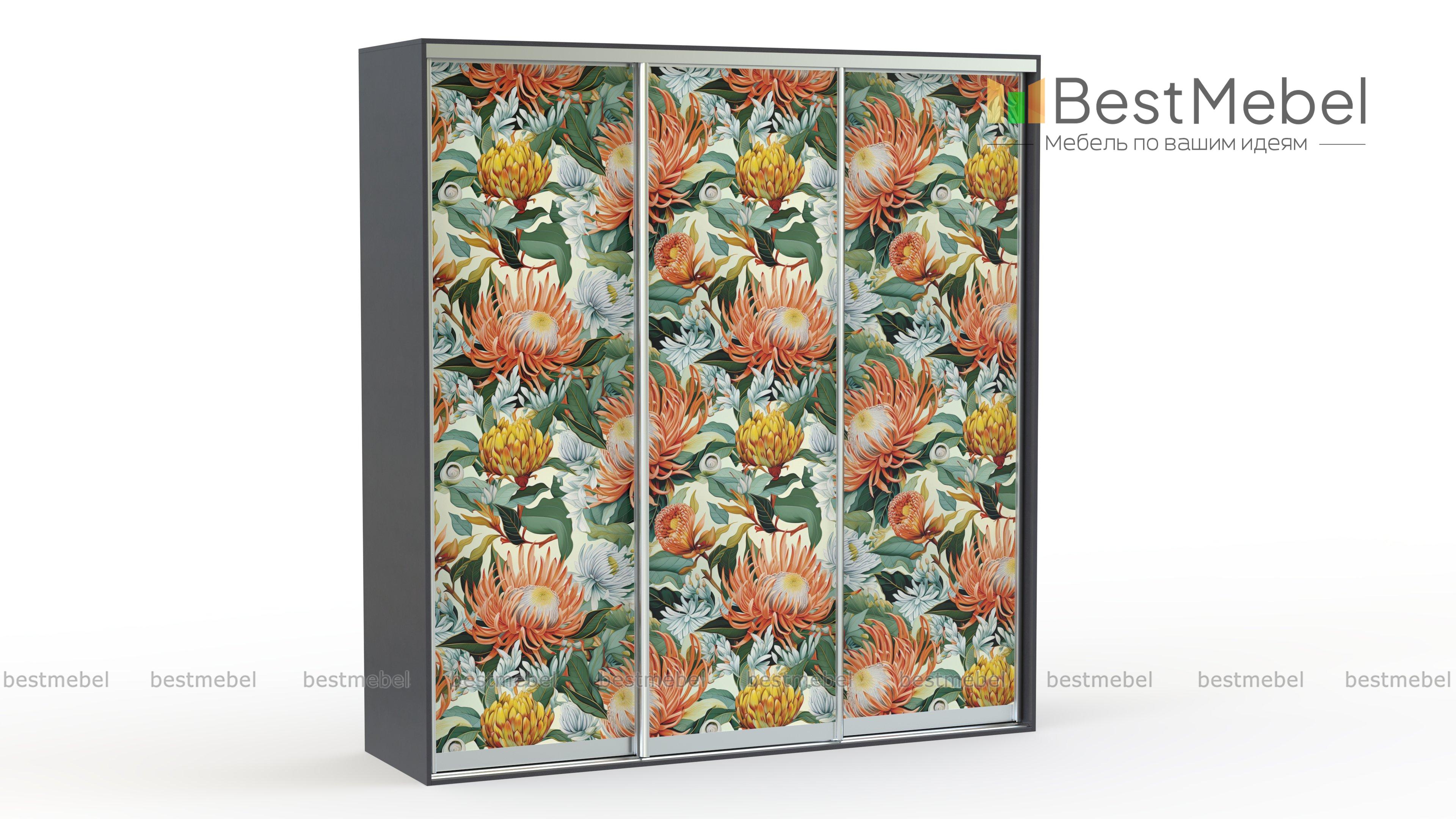 Шкаф-купе Фрукты 17025 BMS - Фото