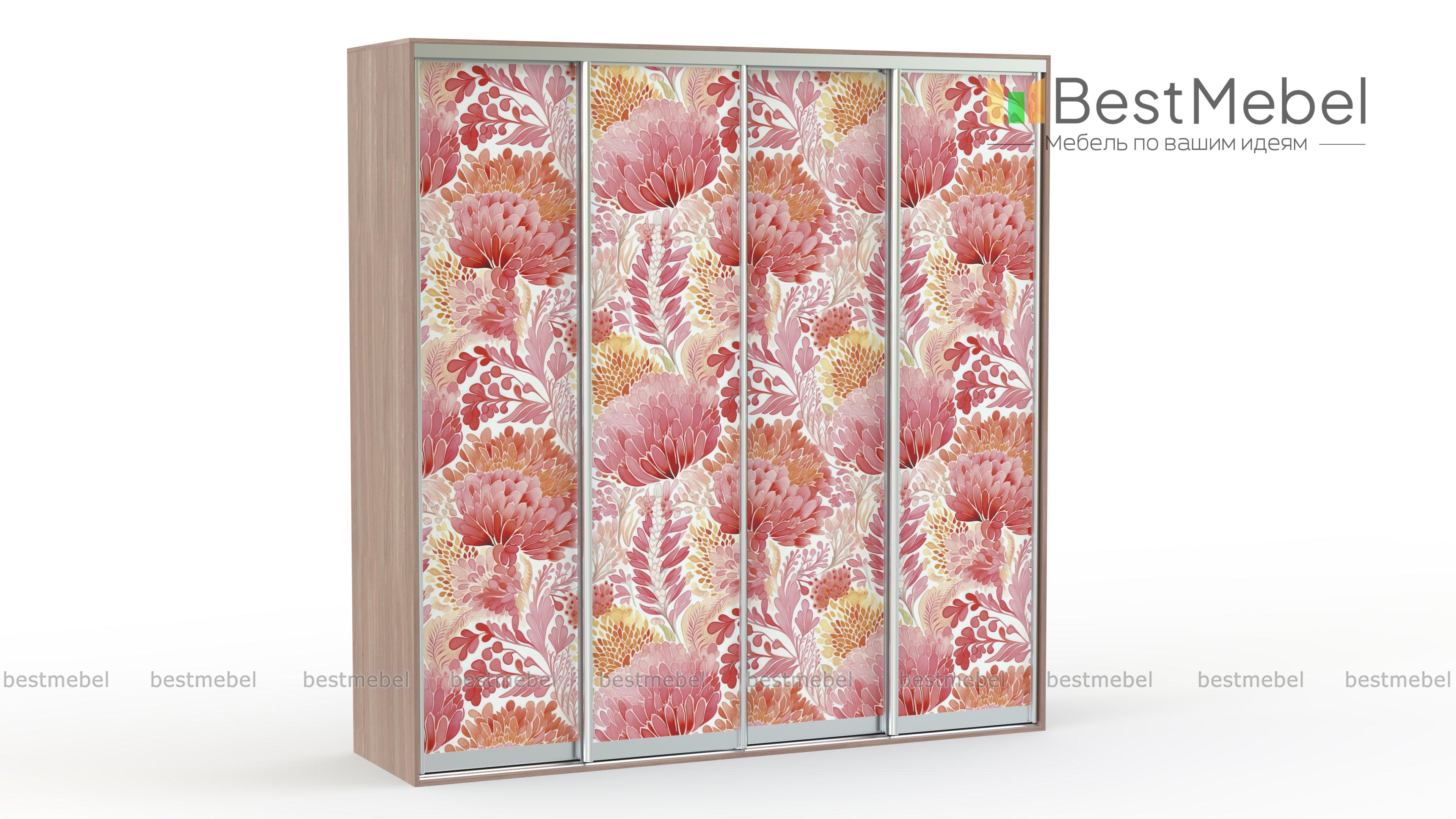 Шкаф-купе Мед 17030 BMS - Фото