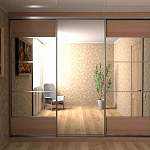 Шкаф-купе №219 BMS - Фото 1