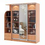 Шкаф-купе Букинист BMS - Фото 1