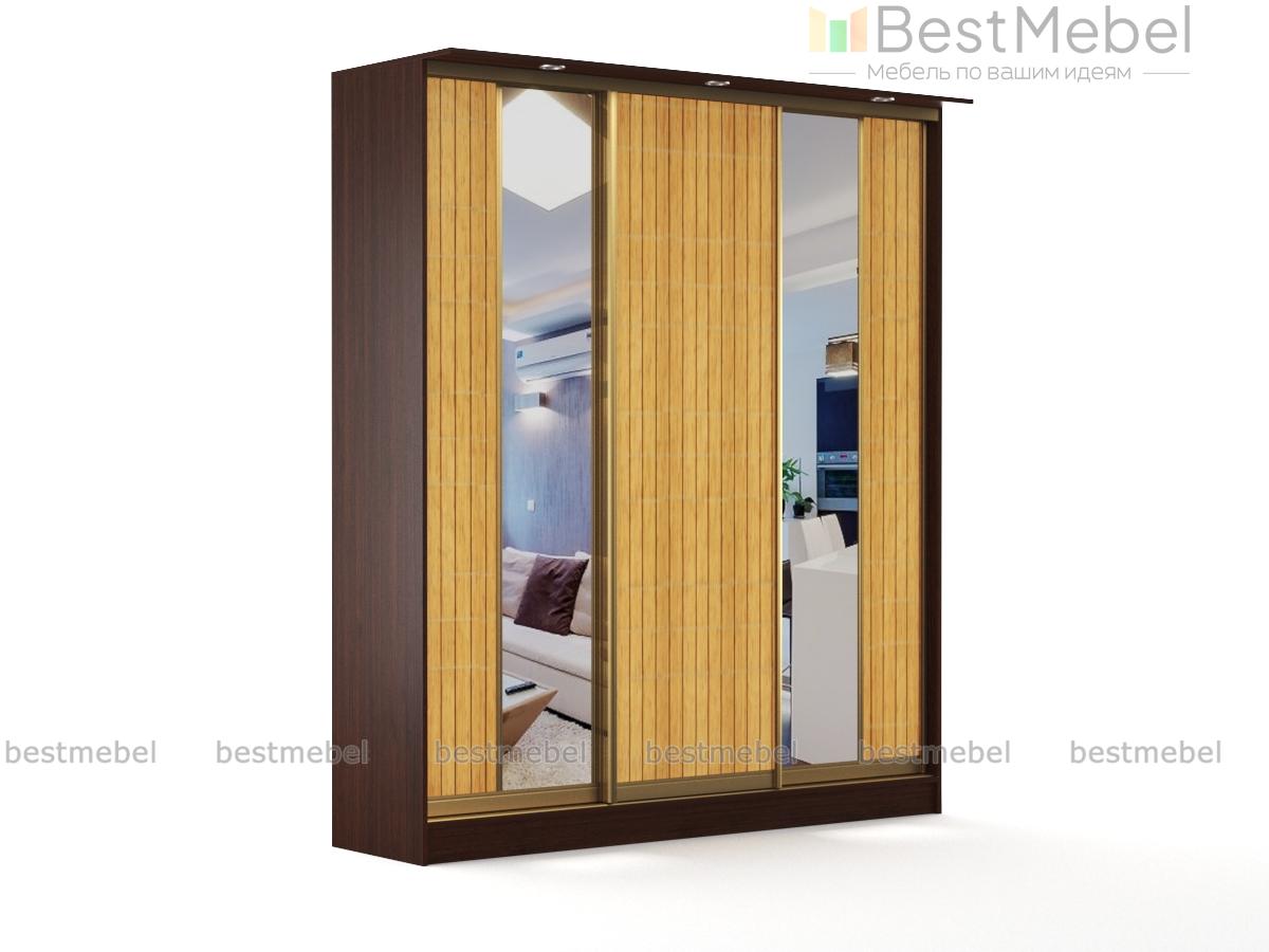 Шкаф-купе Лагуна-5 BMS - Фото