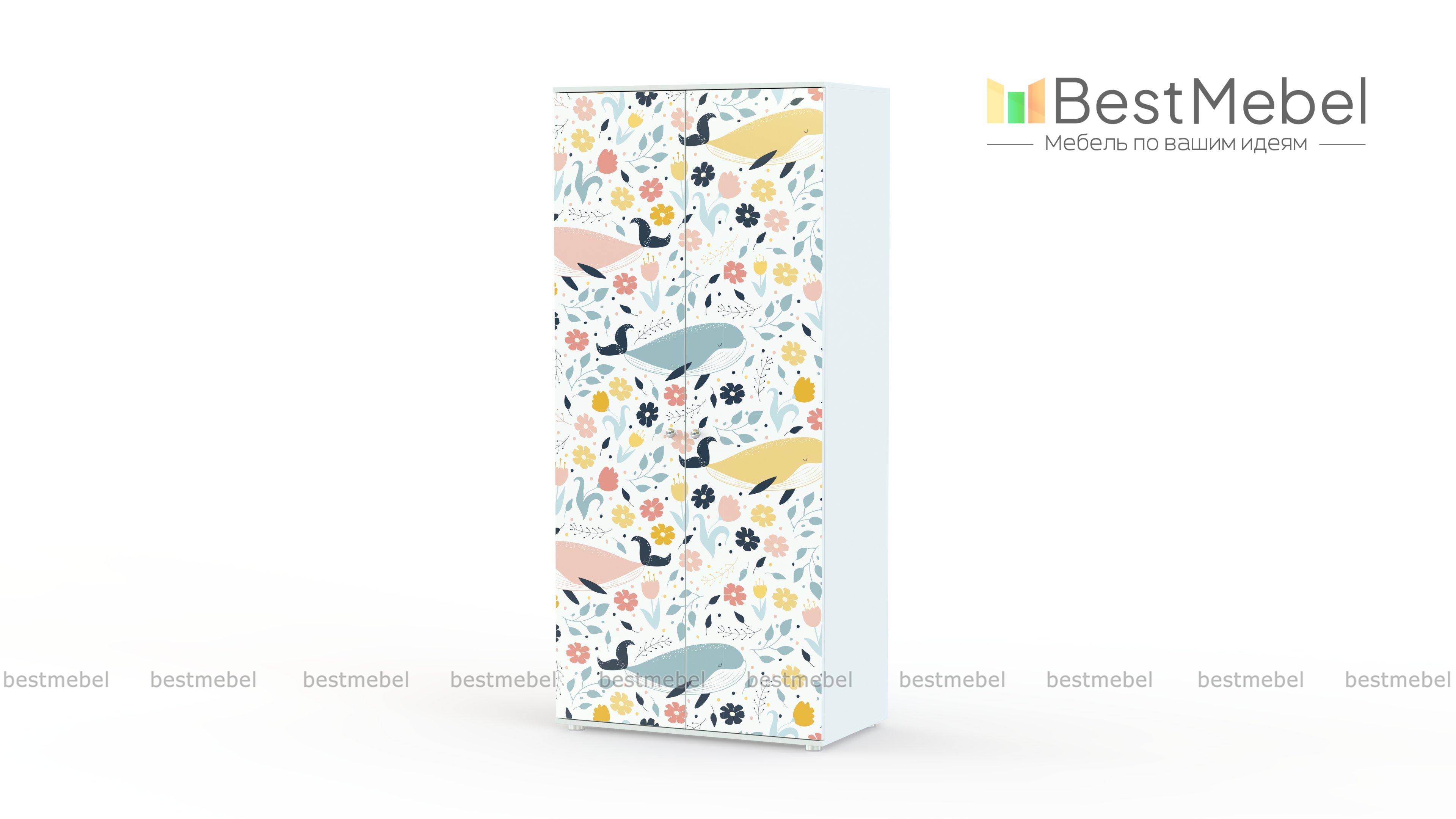 Двуxдверный шкаф Олли BMS - Фото