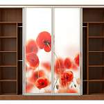 Шкаф-купе Мак BMS - Фото 11