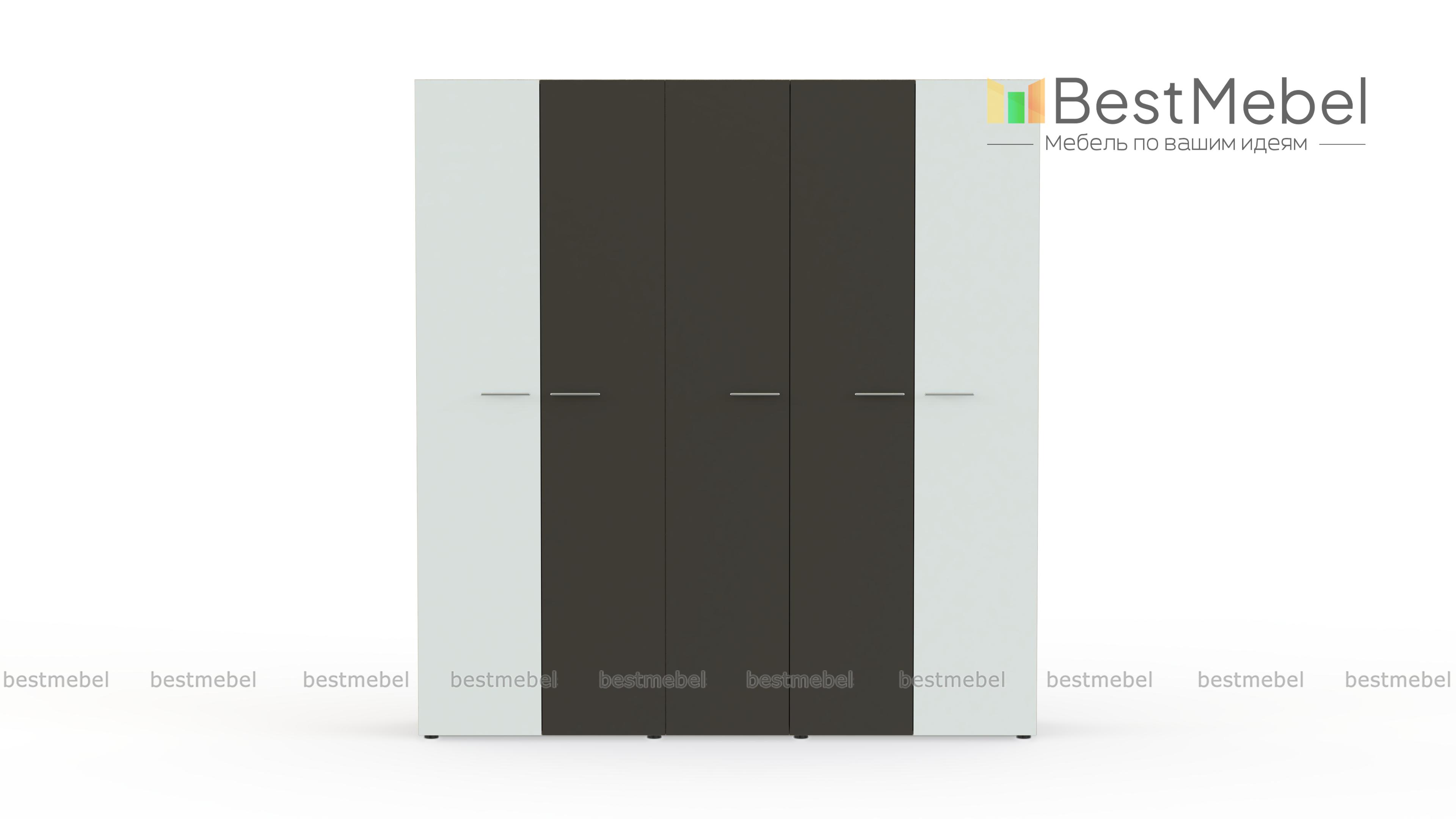 Шкаф распашной Класс 5-2 BMS - Фото