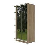 Шкаф-купе Рамир-Стиль 15.1 BMS - Фото 6