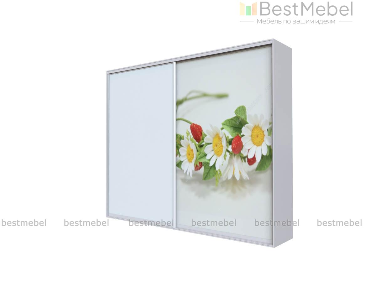 Шкаф-купе 31459 BMS - Фото