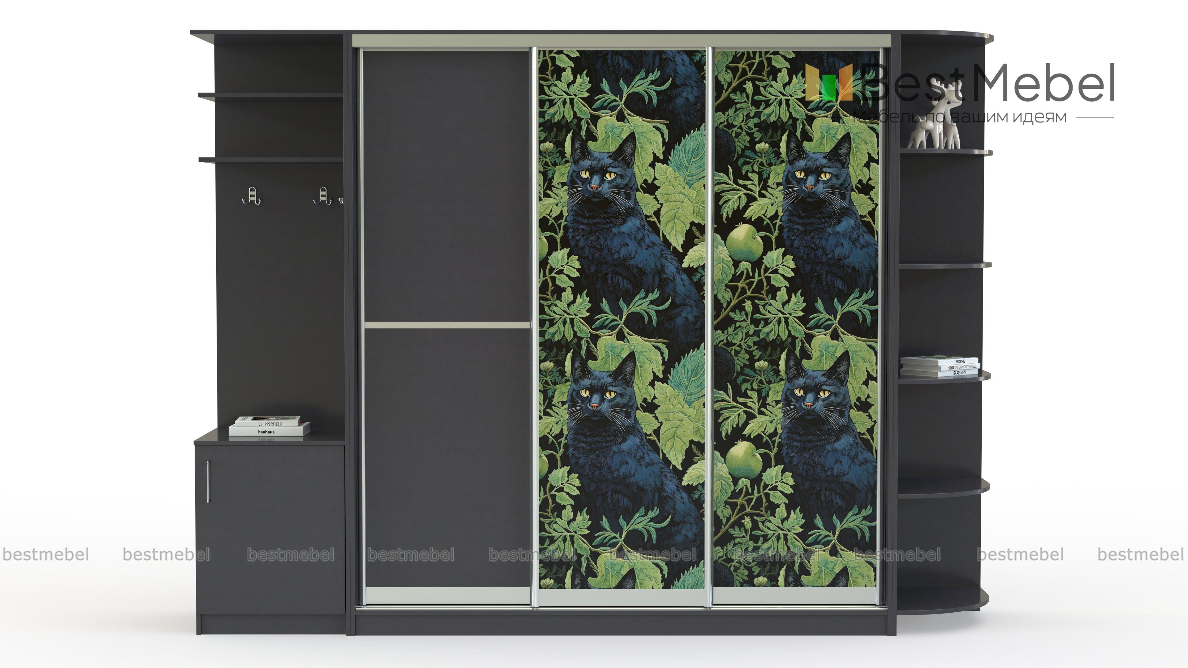 Шкаф-купе Лаванда 9 BMS - Фото