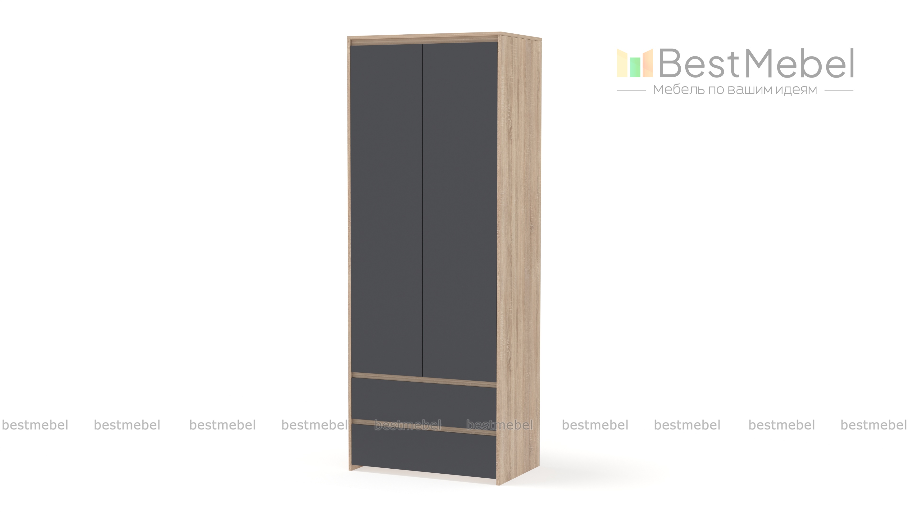 Шкаф Reg 2D2S BMS