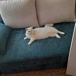 Тахта Мира 3 BMS - Фото от клиента