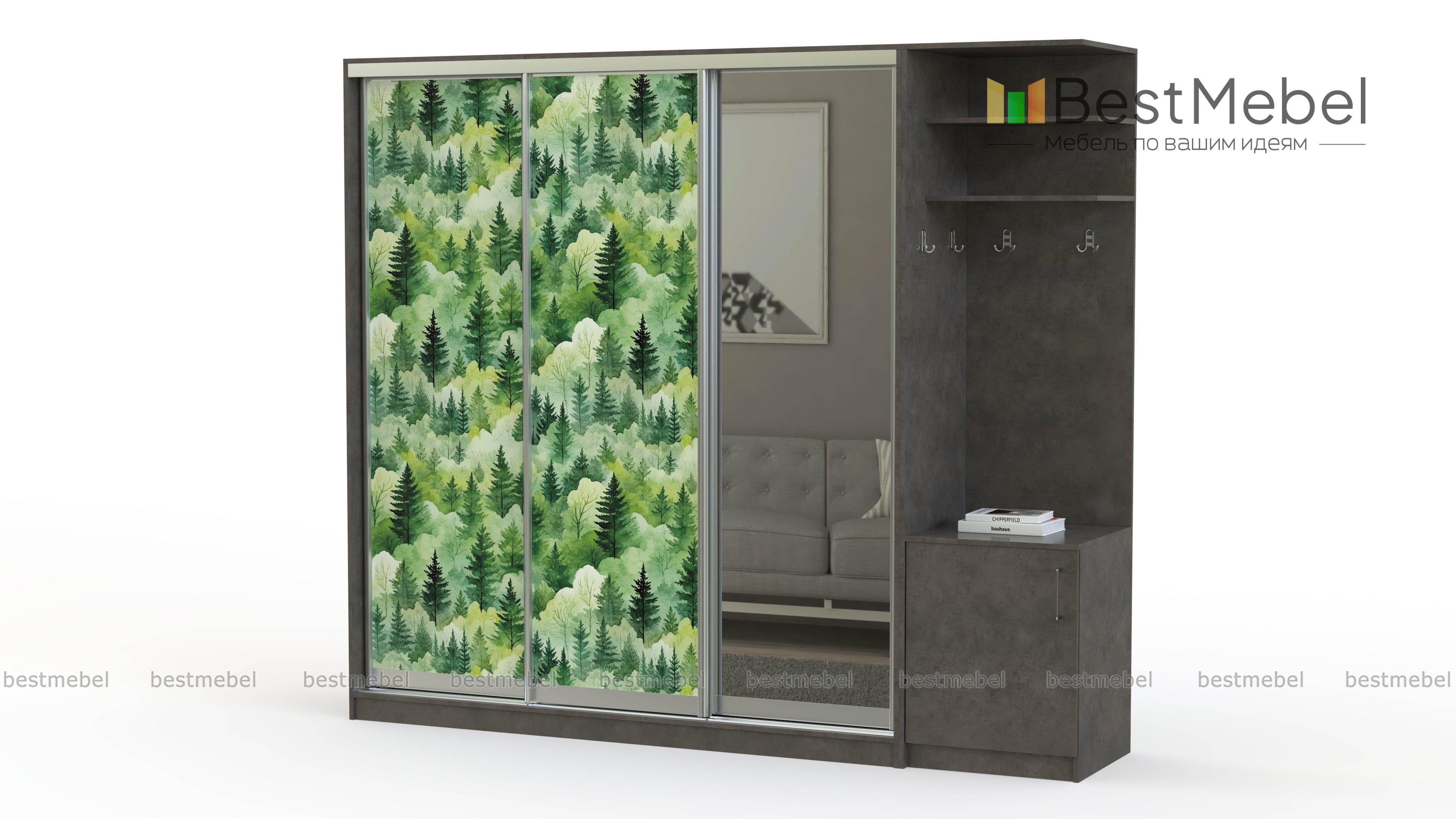 Шкаф-купе Зима 7 BMS - Фото