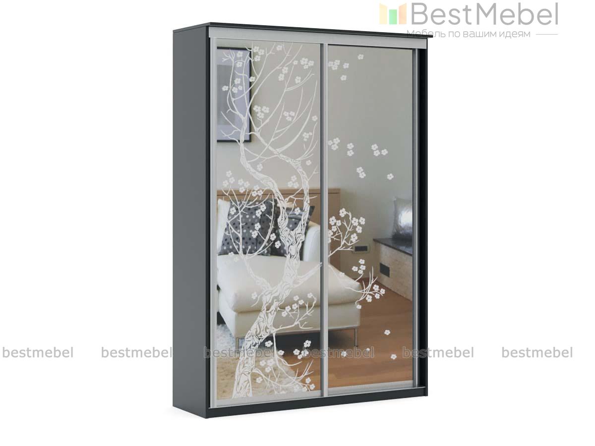 Шкаф-купе Командор-2 BMS - Фото