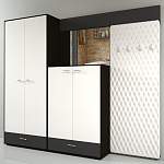 Прихожая Премиум 1.24 BMS - Фото 6