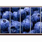 Шкаф-купе Берри 6 BMS - Фото 9