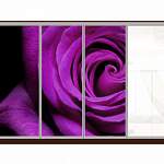 Шкаф-купе Роза 41 BMS - Фото 9