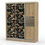 Шкаф-купе Григ 23 BMS - Фото 8