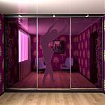 Шкаф-купе 4098 BMS - Фото 1