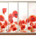 Шкаф-купе Мак BMS - Фото 9